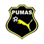 Pumas